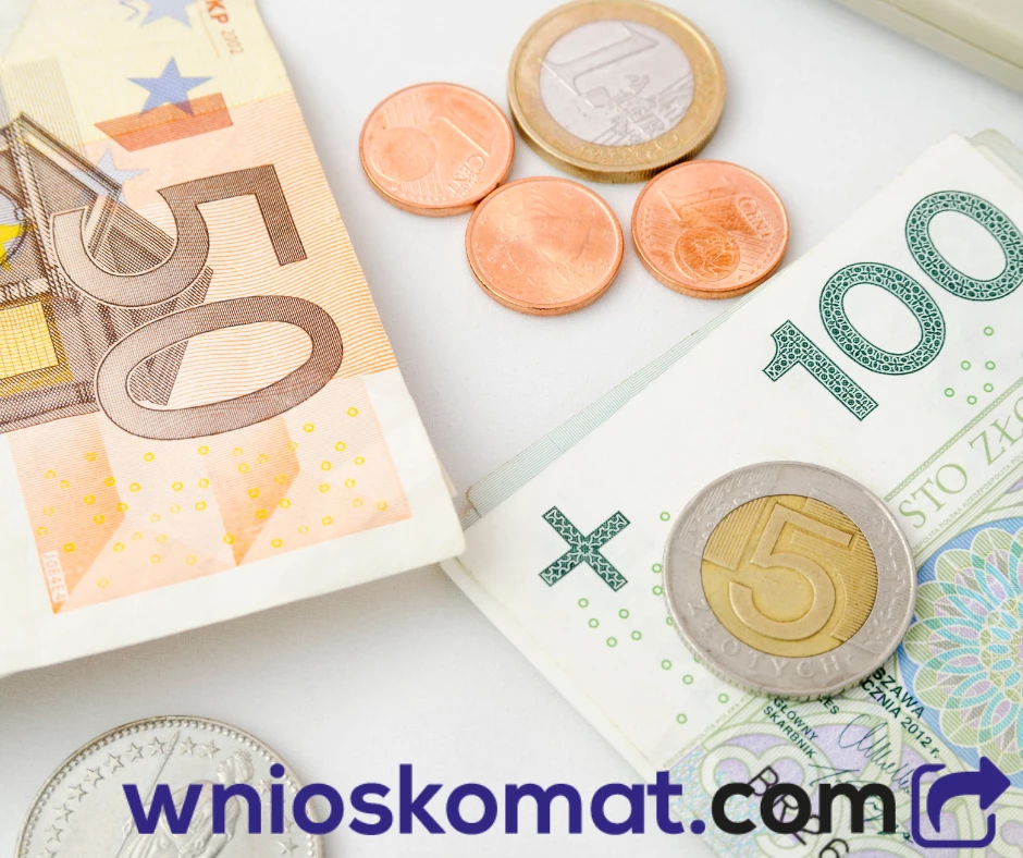 Jaki wpływ na naszą gospodarkę miałoby wprowadzenie Euro w Polsce?