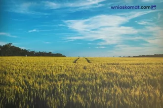 Służebność na nieruchomości - co oznacza?