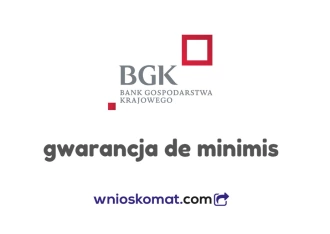 Gwarancje de minimis BGK - na czym polegają?