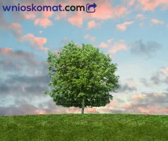 Getin Noble Bank - sylwetka biznesowa