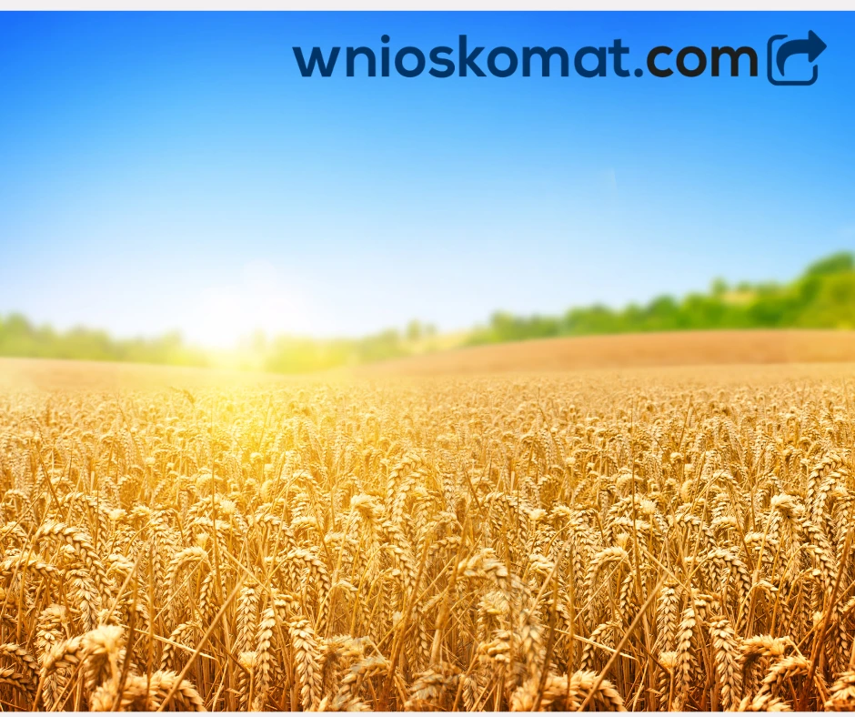 Czym jest kredyt skupowy?