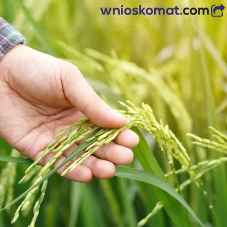 Wyzwania branży rolno-spożywczej w roku 2022. Raport KRD